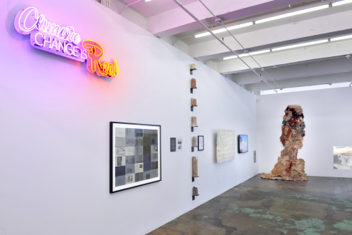 ecofeminism(s) curated by Monika Fabijanska - Installation view of ecofeminism(s), left to right: Andrea Bowers, Helène Aylon, Eliza Evans, Sonya Kelliher-Combs, Hanae Utamura, Betsy Damon, Aviva Rahmani. Courtesy of Thomas Erben Gallery, New York, June/July 2020