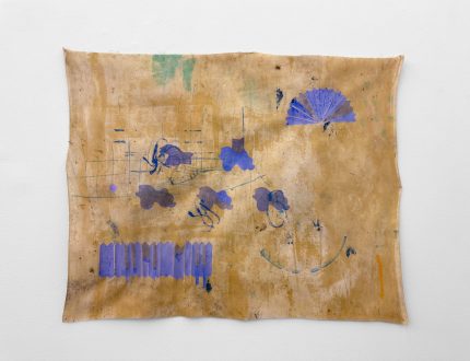 transfiguration, -mutation, -formation - Goutam Ghosh, <i data-eio=