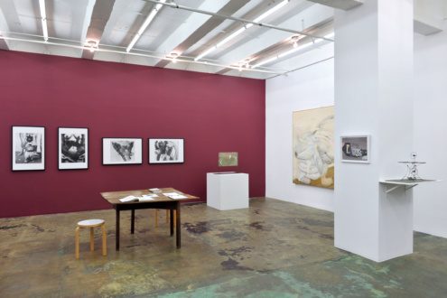 Feminism and the Legacy of Surrealism - Installation view, east and south walls.