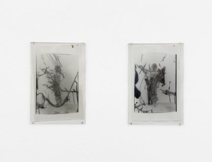 Olivia Reavey: Distension - 