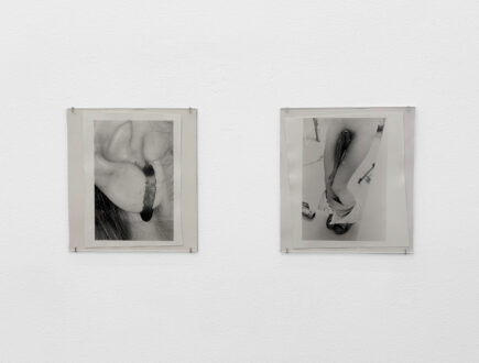 Olivia Reavey: Distension - 