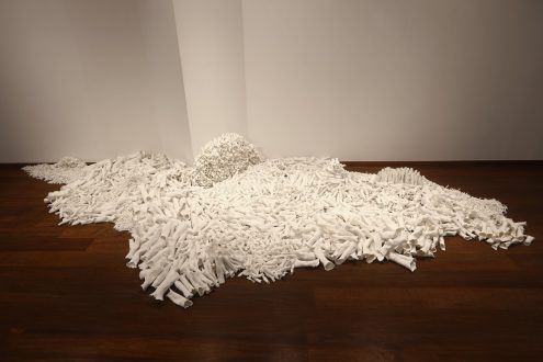transfiguration, -mutation, -formation - Savia Mahajan, <i data-eio=