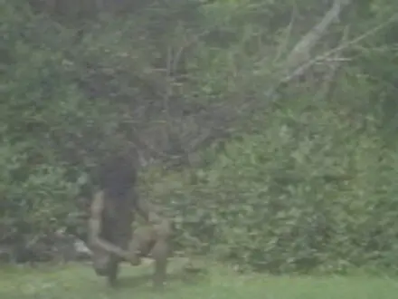 The Hair or The Man (c.1994) and Blink (2001):Two video projections - Still from <i data-src=