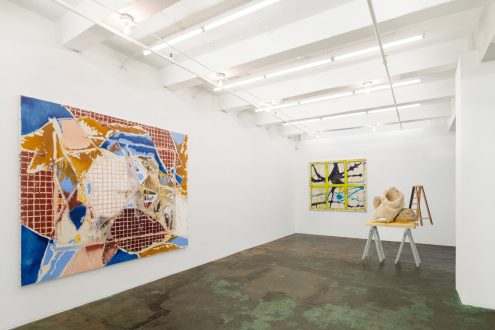 Dona Nelson & Andrew Ross | New Works - Installation view from gallery entrance (photo credit: Fernando Sandoval/MW).