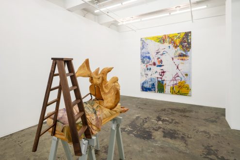 Dona Nelson & Andrew Ross | New Works - Installation view, facing south. (photo credit: Fernando Sandoval/MW).