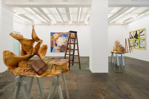 Dona Nelson & Andrew Ross | New Works - Installation view, west wall. (photo credit: Fernando Sandoval/MW).